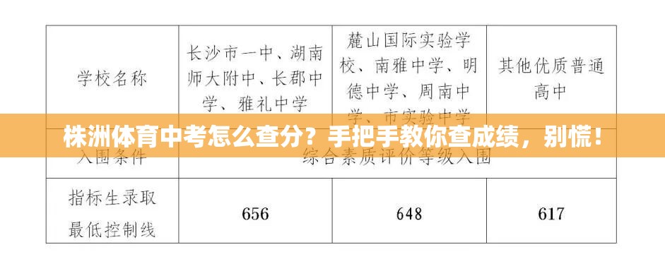 株洲体育中考怎么查分？手把手教你查成绩，别慌！