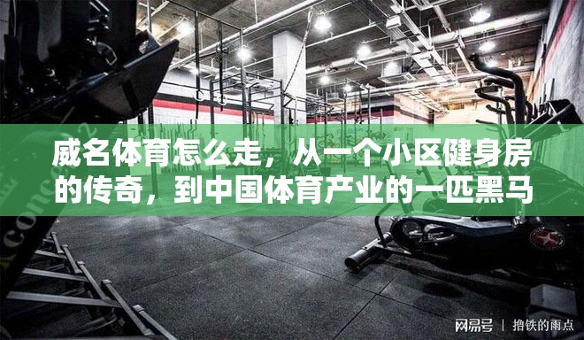 威名体育怎么走，从一个小区健身房的传奇，到中国体育产业的一匹黑马