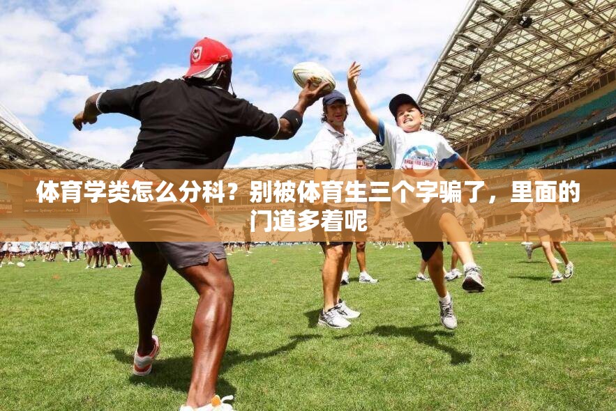 体育学类怎么分科？别被体育生三个字骗了，里面的门道多着呢